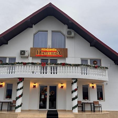 Pensiunea Domnika Dej Buitenkant foto
